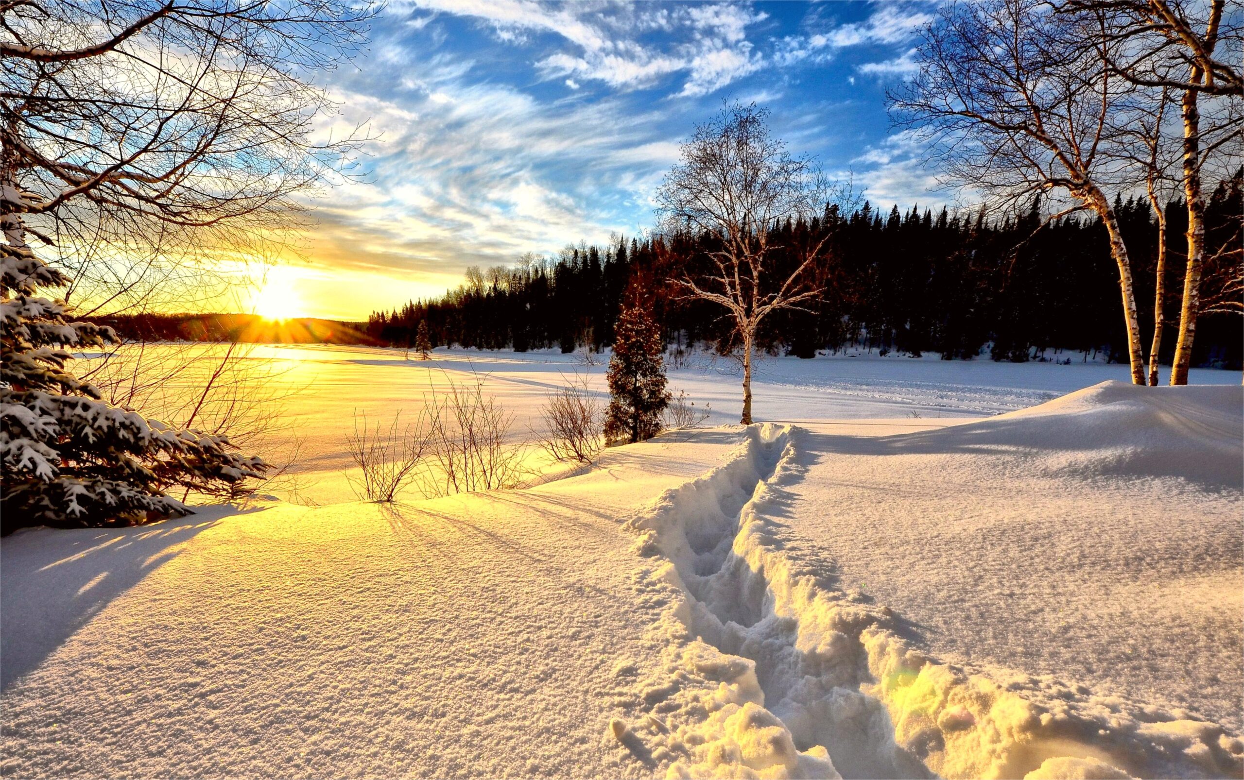 You are currently viewing 黑暗中見光明