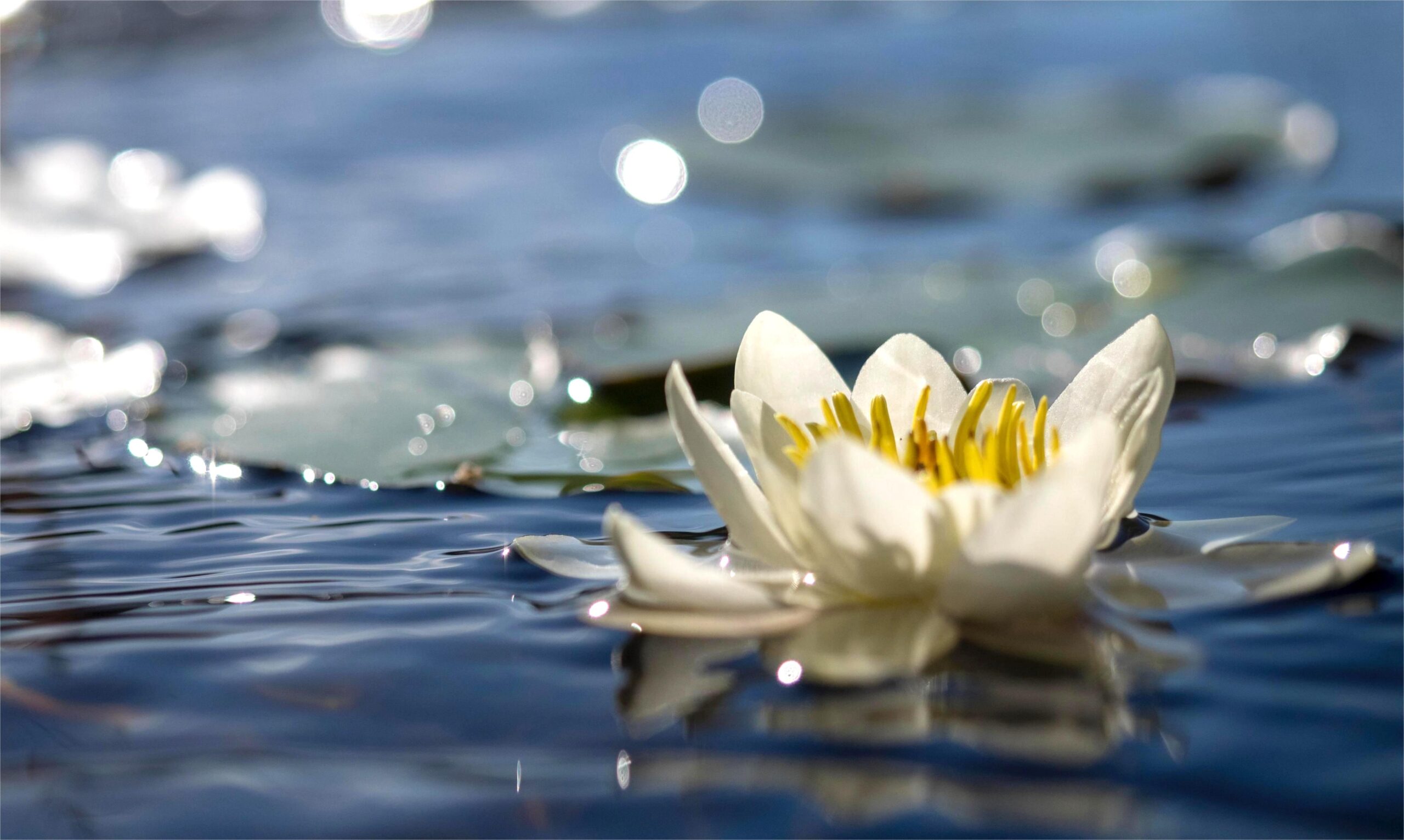 You are currently viewing 滿滿的感恩