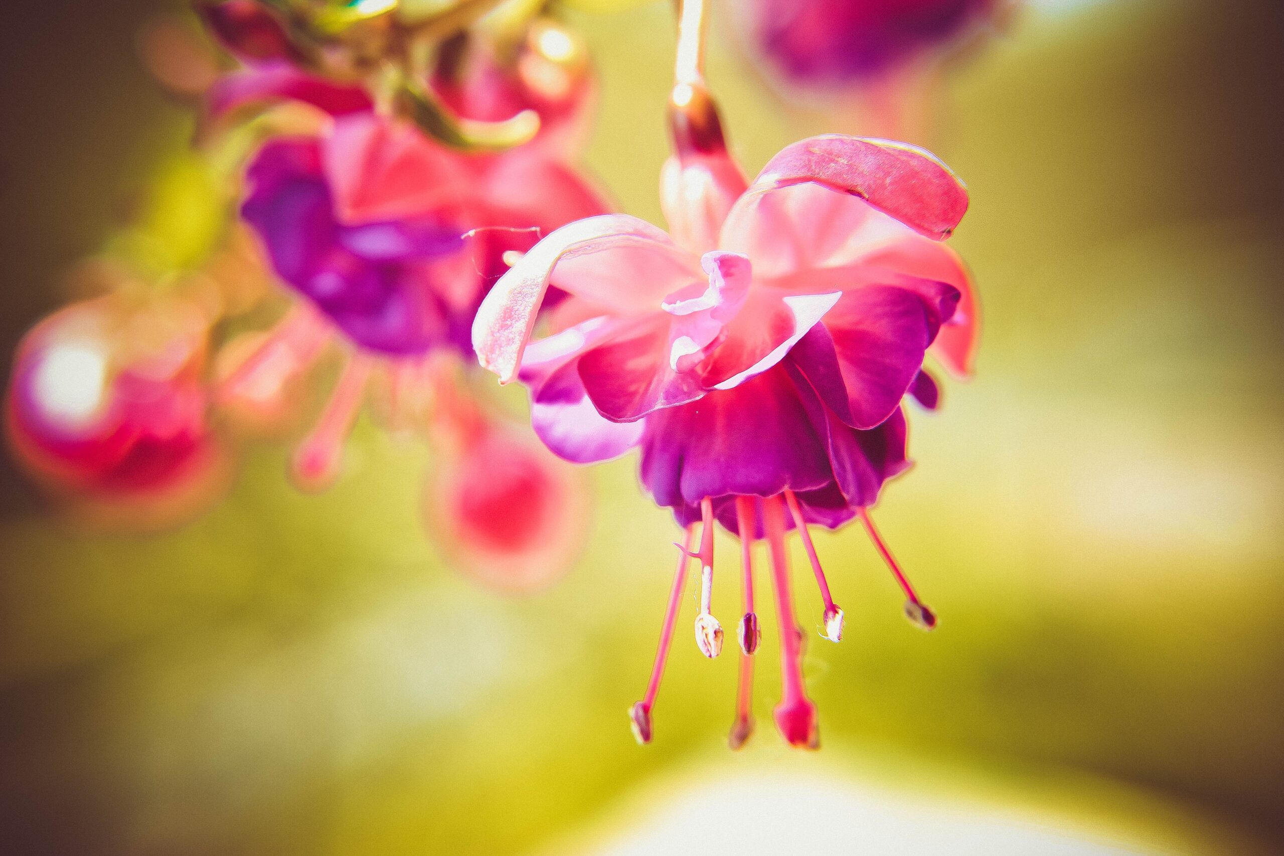 You are currently viewing 疫情中的溫暖